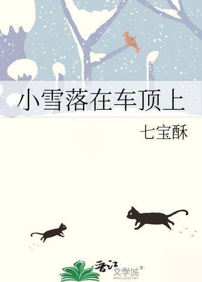 小雪落在车顶上什么意思