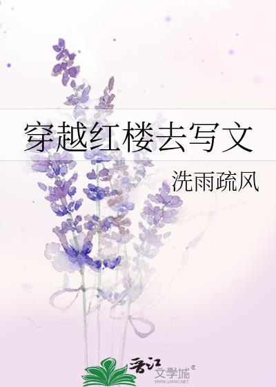 穿越红楼去写文章的