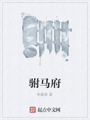 驸马府邸 宋朝遗风