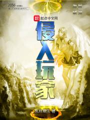 玩家入侵起点