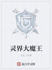 灵界灵王