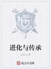 发明传承进化