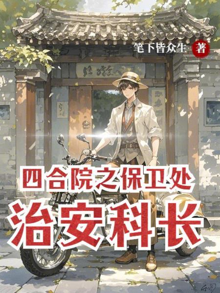 四合院警察