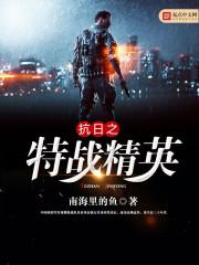 抗日之特战精英TXT全本