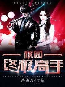 校园终极高手全文阅读