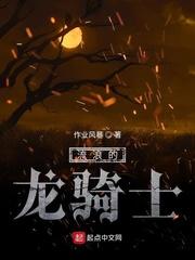 流浪的龙骑士怎么打