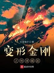 变形金刚地球崛起在线观看