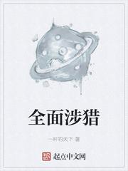 涉猎领域