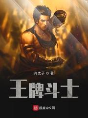 王牌斗士在线播放