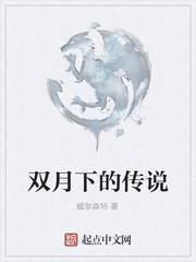 双月传说中文版nes