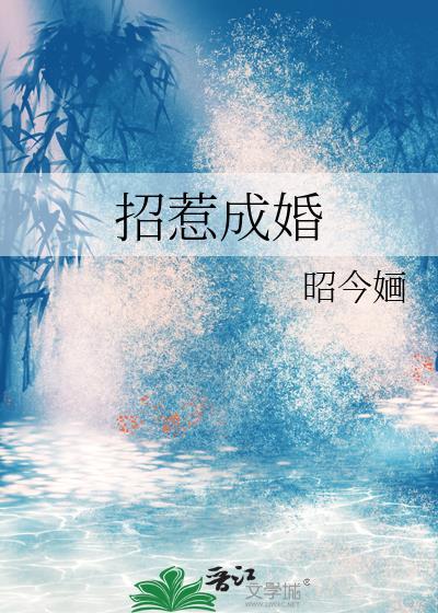招惹成婚txt