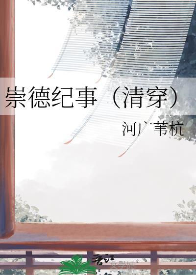 崇德纪事(清穿)第21章
