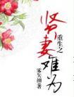 重生之贤妻难为雾矢翊
