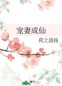宠妻成双免费阅读