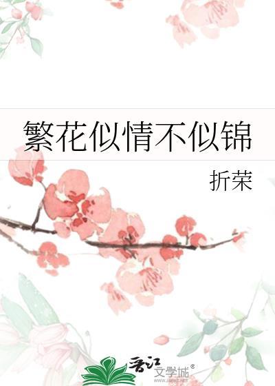 当犟种小猫遇上台风天