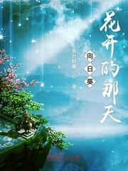 蜻蜓琥珀：三世回眸
