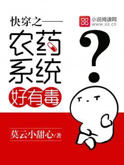 清穿之二嫁四爷
