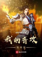 英雄无敌之极品领主