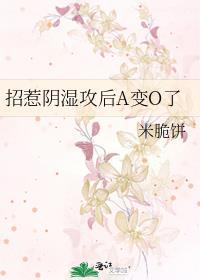 反派炸了我的弹幕系统