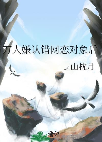崇德纪事（清穿）
