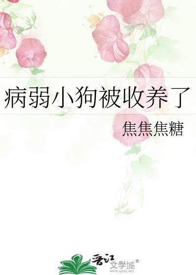 流浪狗也能破案立功吗？
