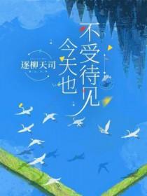公主是个病美人